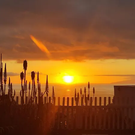 Aloha Garden Paradise View 公寓 *