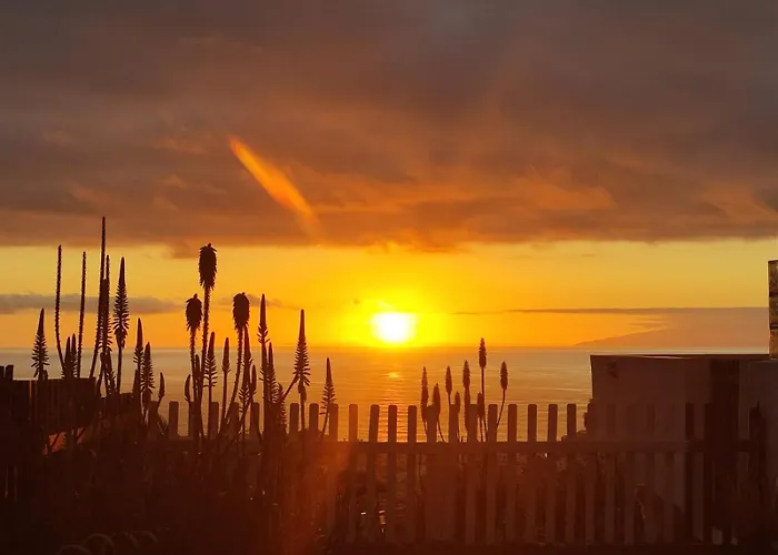 Aloha Garden Paradise View Апартаменти *